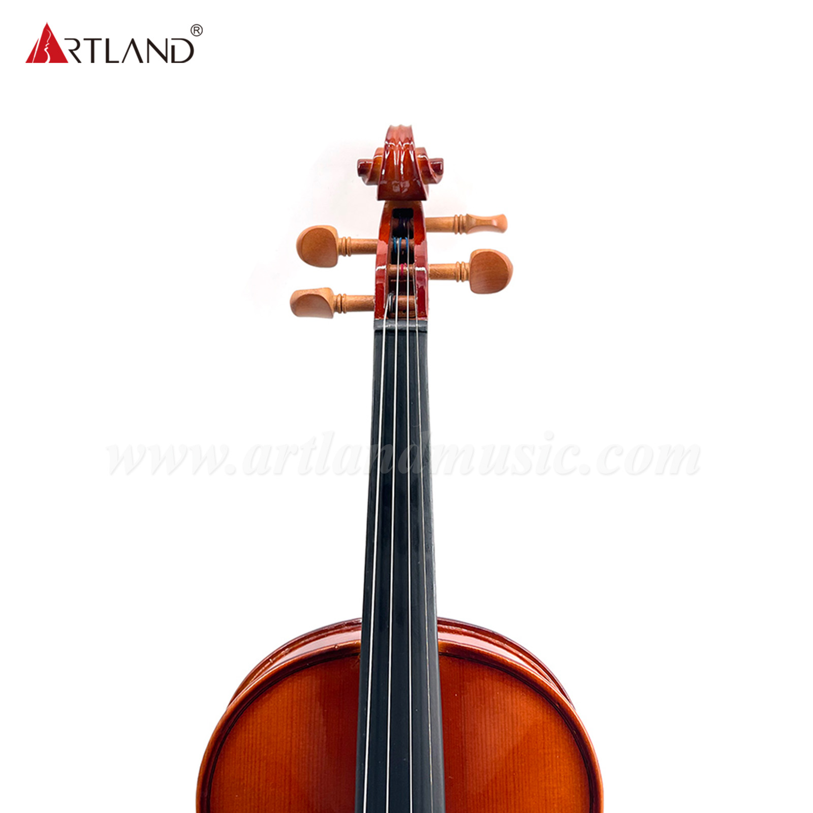 Poluar Solid Vioins Outfit per principianti (GV103F)