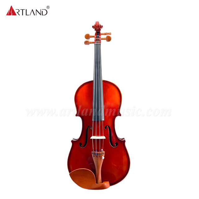 Poluar Solid Vioins Outfit per principianti (GV103F)