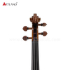 Guarneri Violino Violino solista Violino modello antico di alta qualità (PV60E)