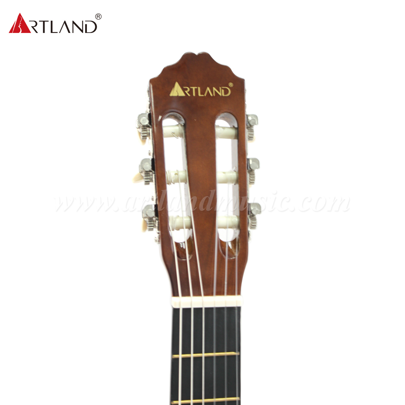 Chitarra classica con fondo e fasce in tiglio (CG851)