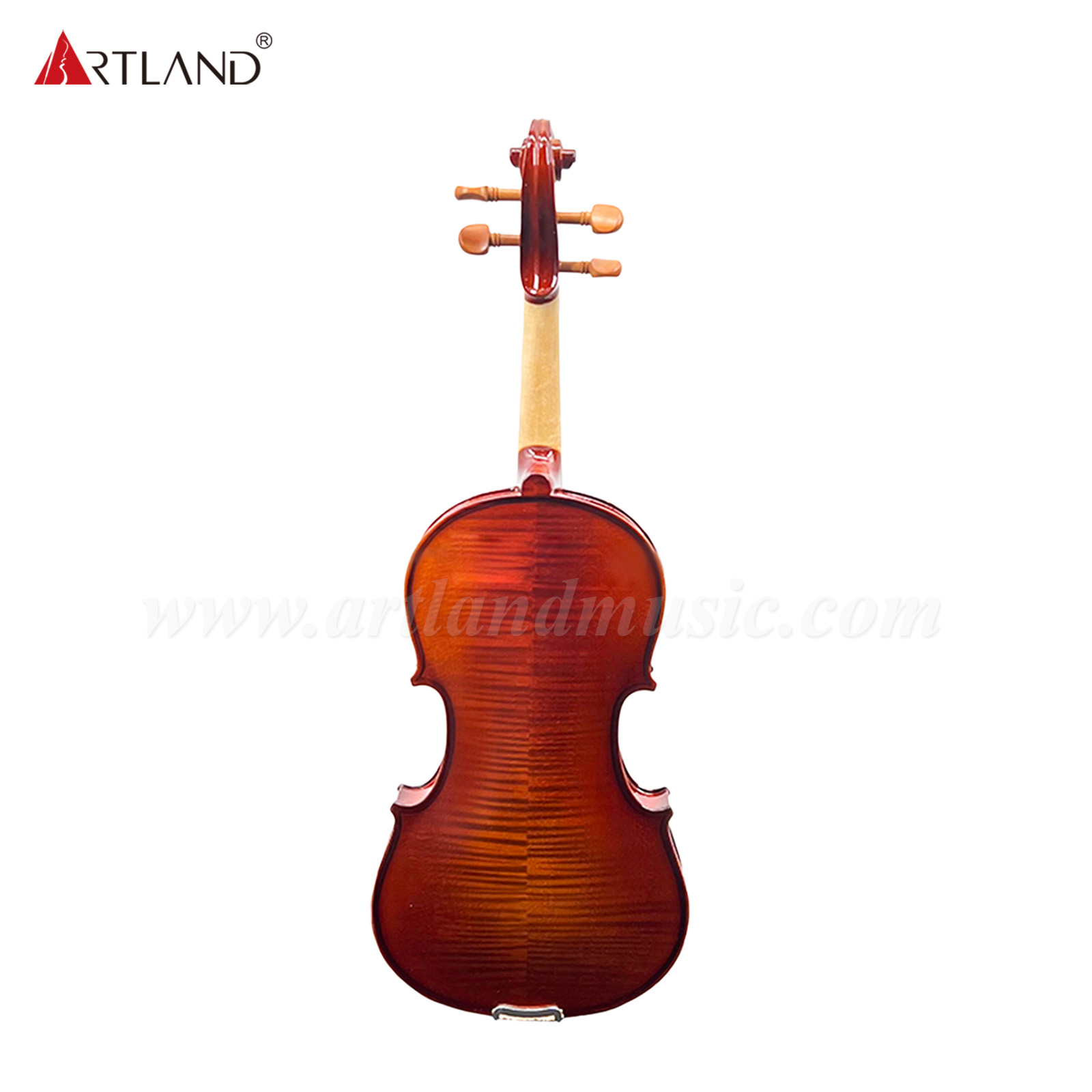 Poluar Solid Vioins Outfit per principianti (GV103F)