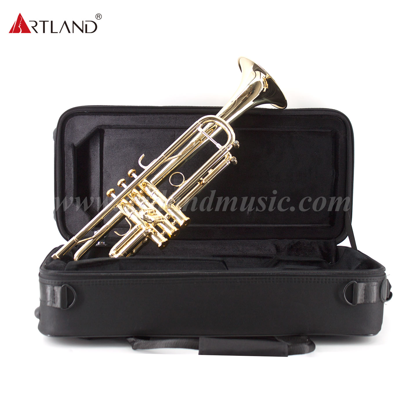 Strumento professionale in ottone Tromba in ottone giallo massiccio con custodia (ATR8800)