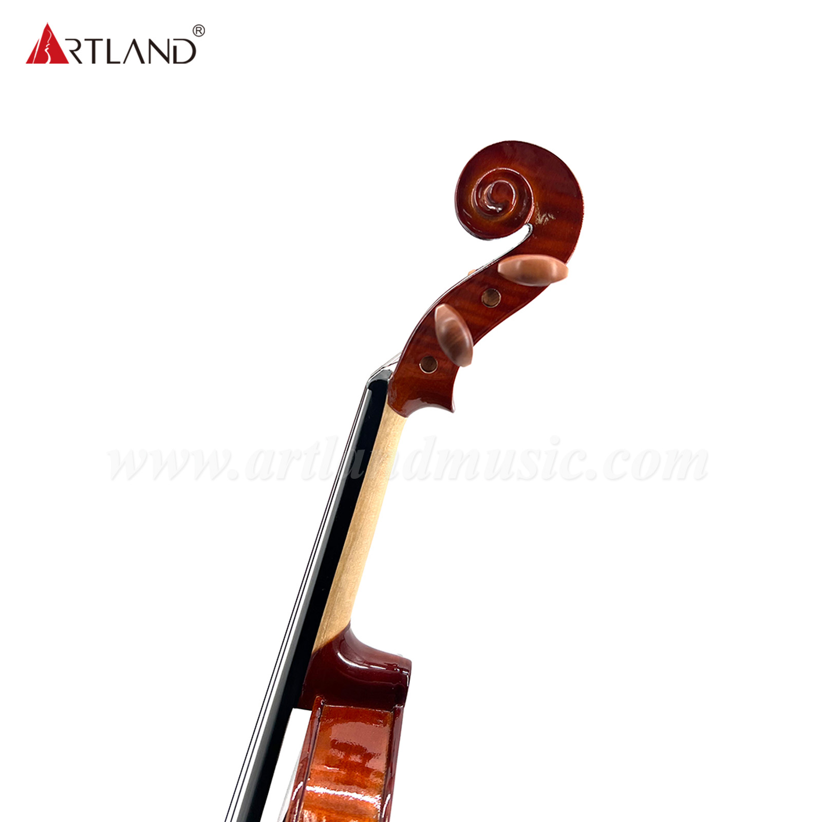 Poluar Solid Vioins Outfit per principianti (GV103F)