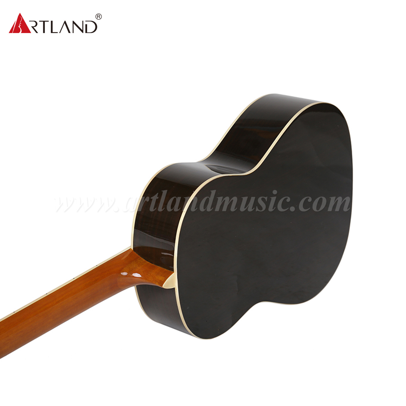 Chitarra classica con fondo e fasce in palissandro con top in abete massiccio (CG988)