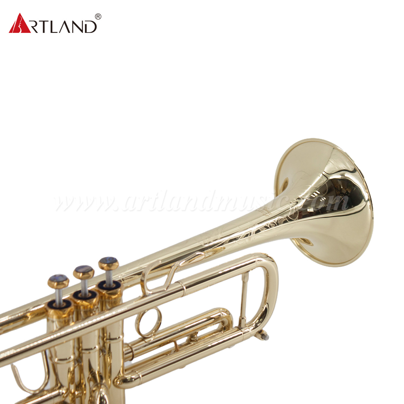 Strumento professionale in ottone Tromba in ottone giallo massiccio con custodia (ATR8800)