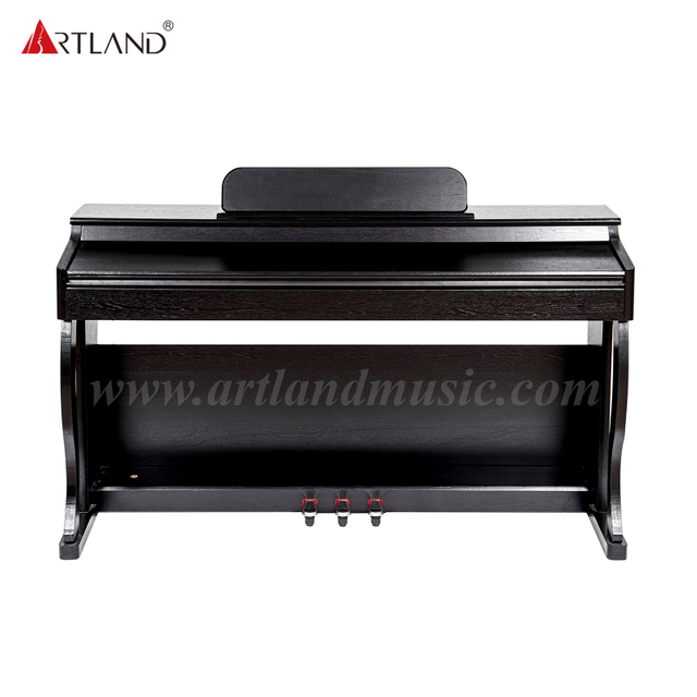 3 pedali 88 - Pianoforte digitale con tastiera con azione a martello (DGP-901)