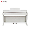3 pedali 88 - Pianoforte digitale con tastiera con azione a martello (DGP-901)