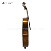 Violoncello avanzato di alta qualità (AC100S)