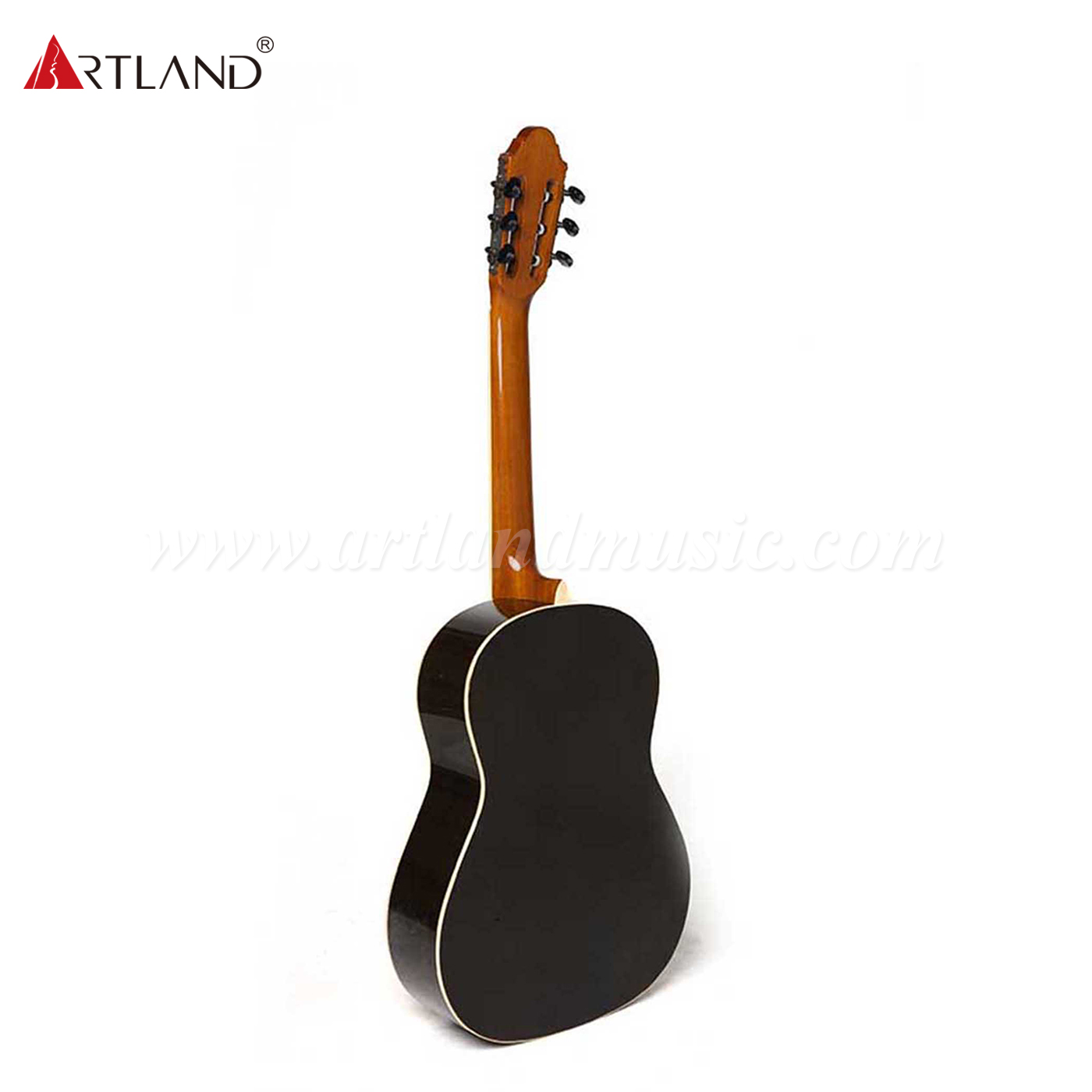 Chitarra classica con fondo e fasce in palissandro con top in abete massiccio (CG988)