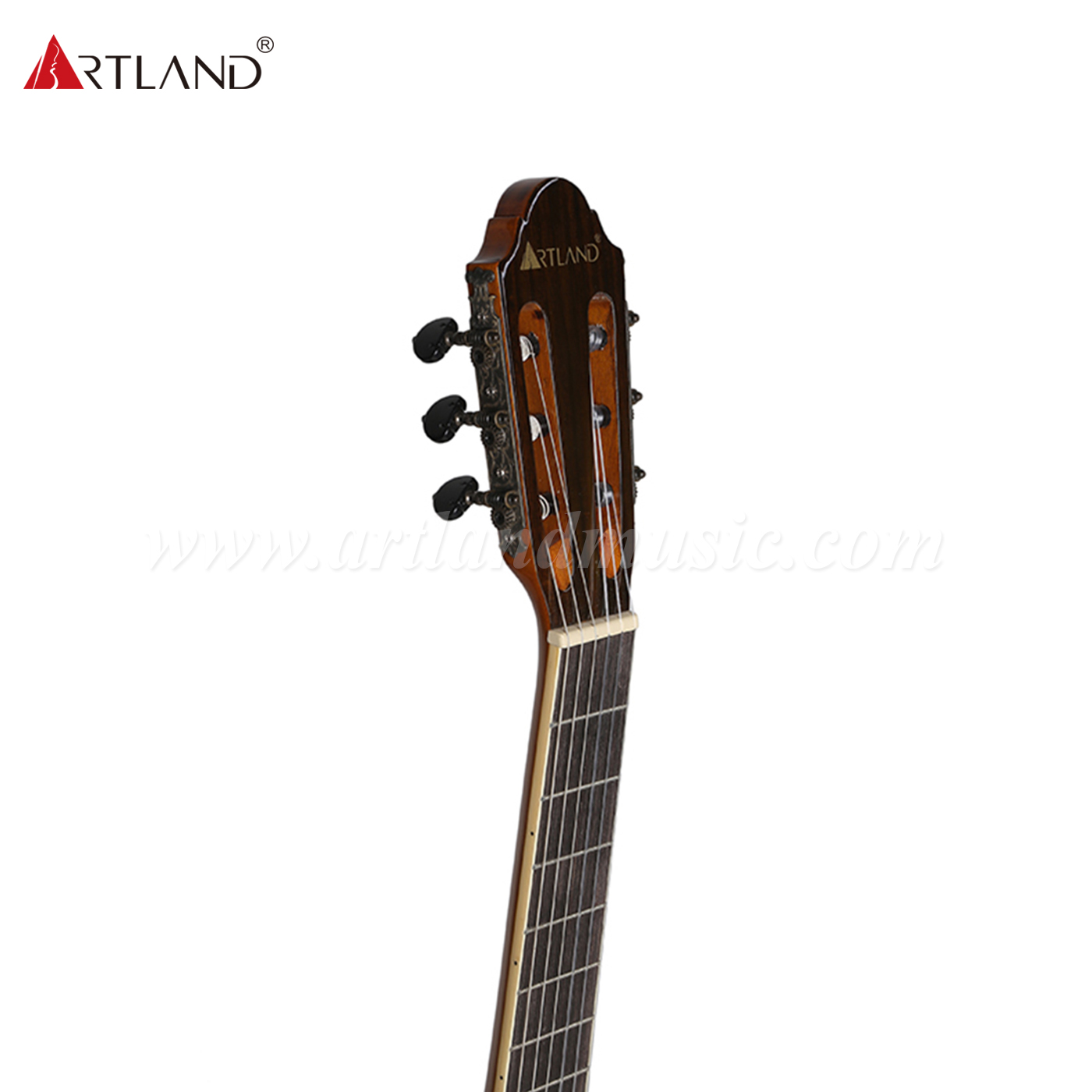 Chitarra classica con fondo e fasce in palissandro con top in abete massiccio (CG988)