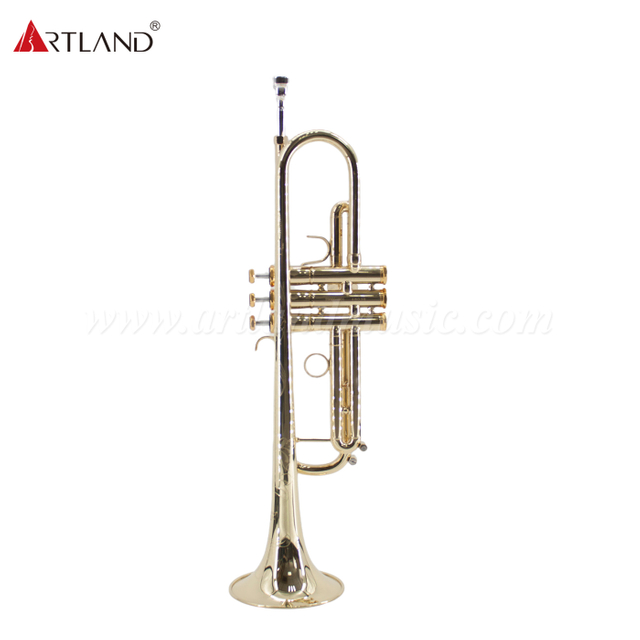 Strumento professionale in ottone Tromba in ottone giallo massiccio con custodia (ATR8800)