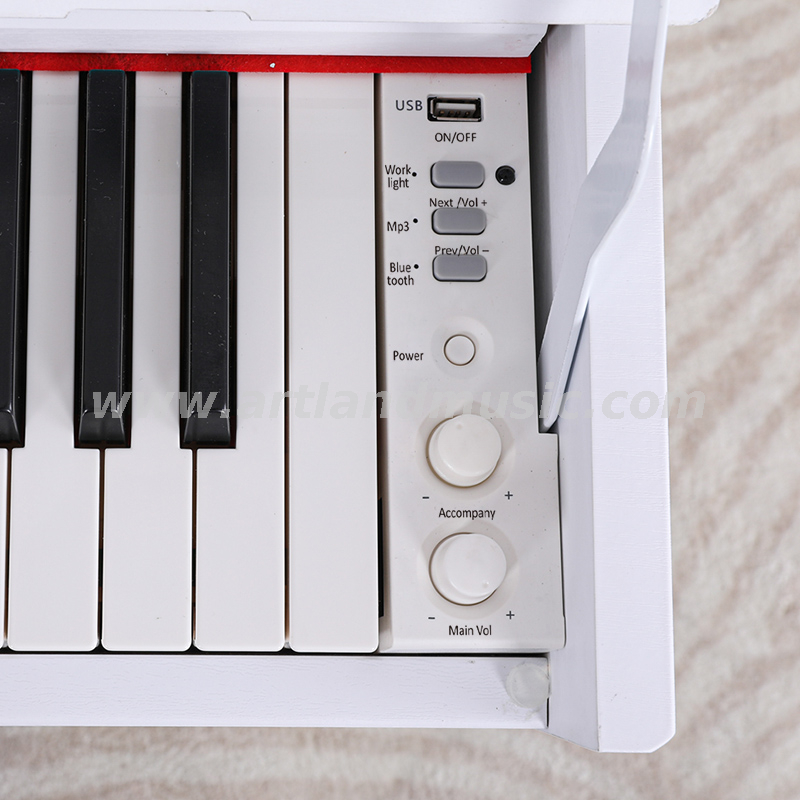 Pianoforte digitale a martello progressivo a 88 tasti (ATP802)