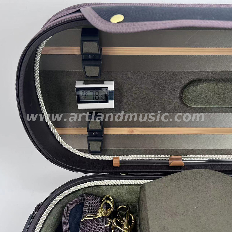 Custodia rigida per violino deluxe di alta qualità (DSV103)