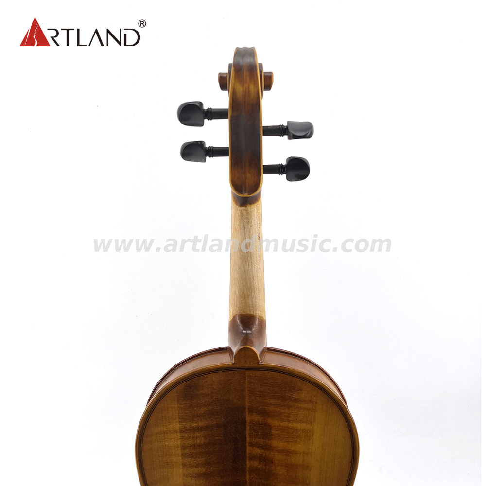 Violino moderato (MV110)