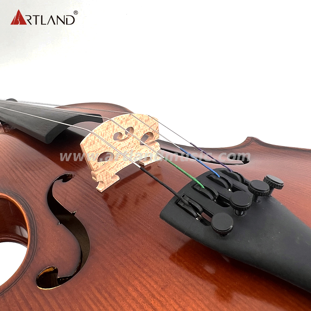 Violino generale con vernice a mano e lavorazione artigianale (GV110H)
