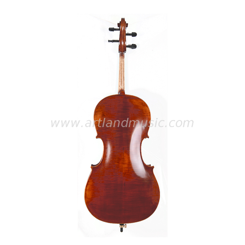 Violoncello avanzato di alta qualità (AC50)