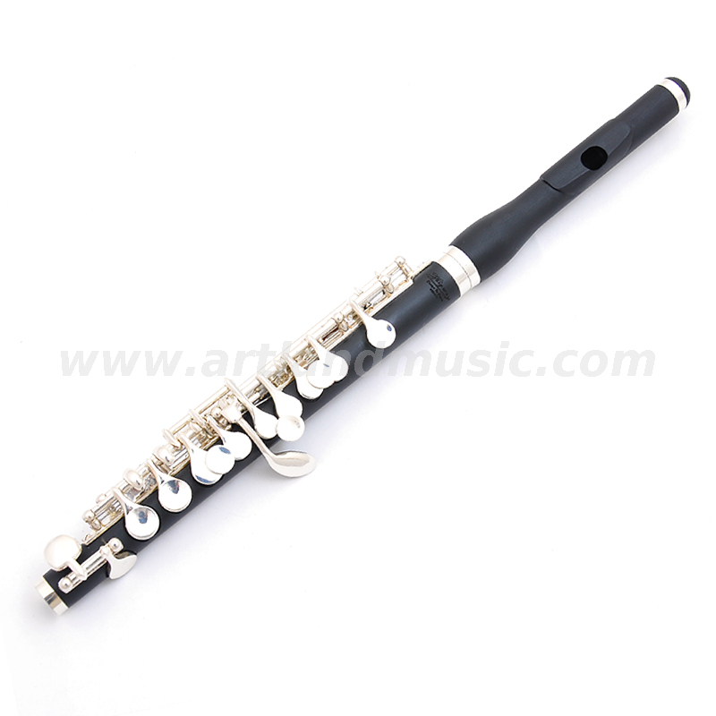Piccolo professionale (AFL2100) placcato argento