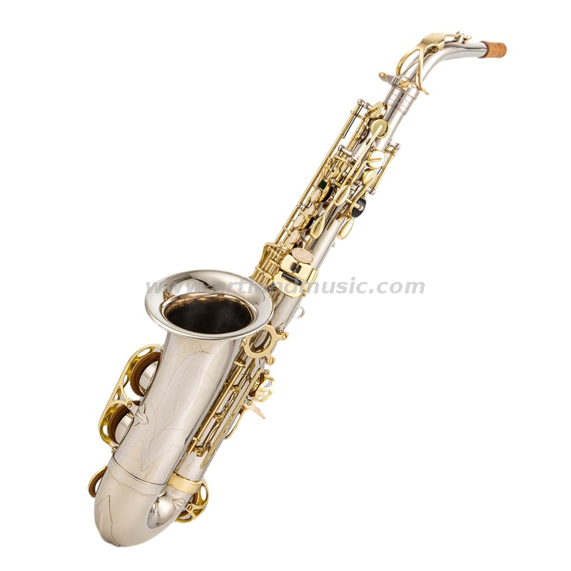 Sassofono contralto Mib Corpo in nichel inciso a mano con chiave laccata dorata (AAS5505NL)