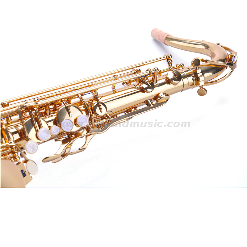 Sassofono tenore professionale con finitura laccata dorata chiave Sib (ATS4506)