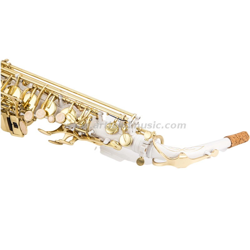 Sassofono contralto Mib Corpo in nichel inciso a mano con chiave laccata dorata (AAS5505NL)