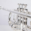 Tromba ATR5506S di alta qualità placcata in argento