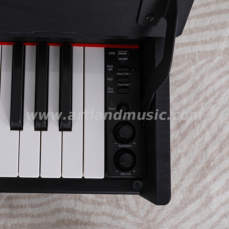 Pianoforte digitale a martello progressivo a 88 tasti (ATP802)