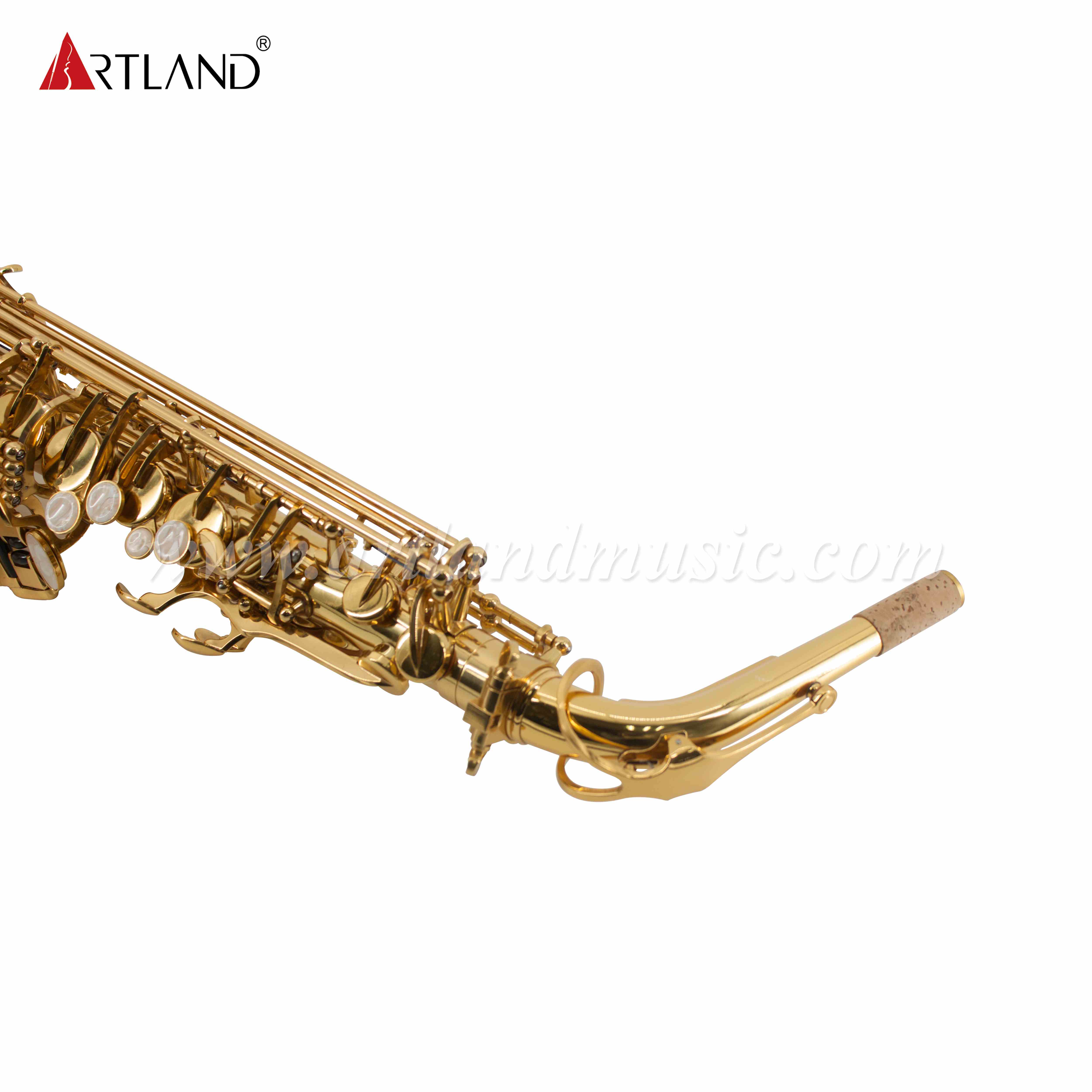 Sassofono contralto in mib laccato oro (AAS6503)