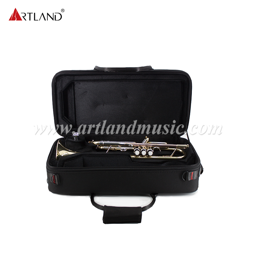 Strumento professionale in ottone Tromba in ottone giallo massiccio con custodia (ATR8336)