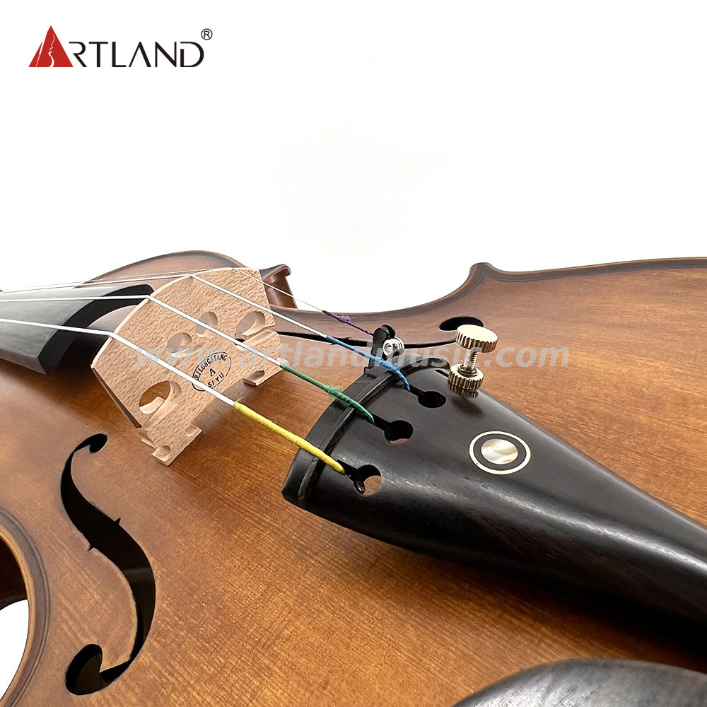 Violino moderato (MV110)