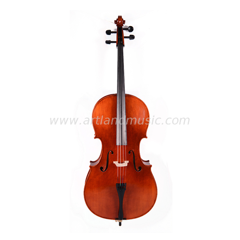 Violoncello avanzato di alta qualità (AC50)
