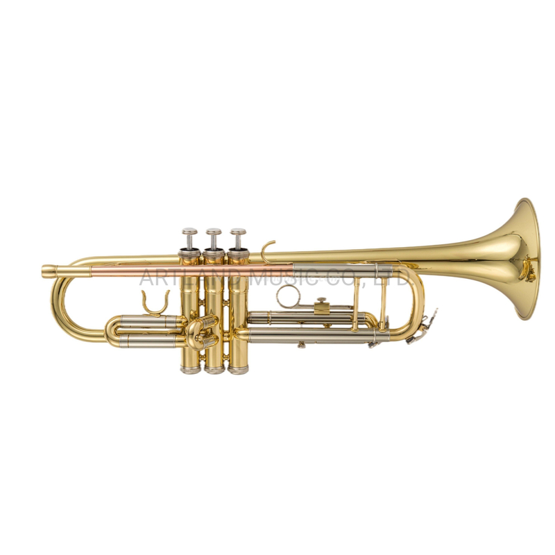 Tromba in Sib con tubo in rame fosforoso e custodia in super carbonio (ATR0275L)