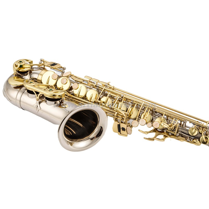 Sassofono contralto Mib Corpo in nichel inciso a mano con chiave laccata dorata (AAS5505NL)