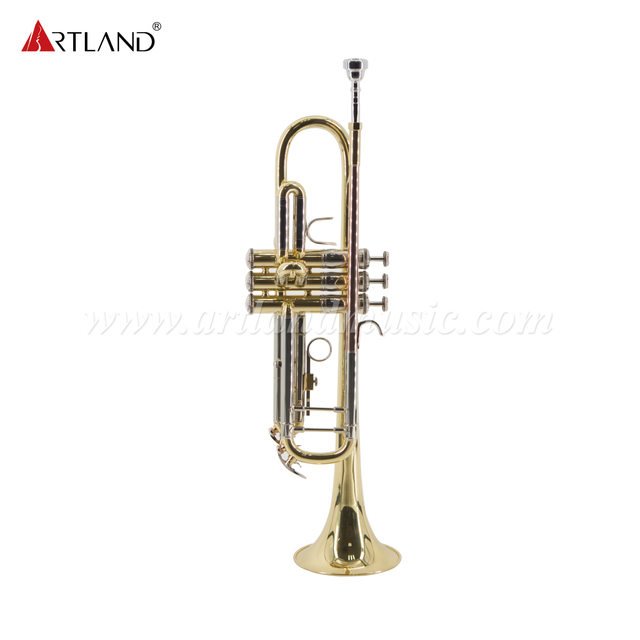 Strumento professionale in ottone Tromba in ottone giallo massiccio con custodia (ATR8336)