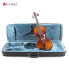 Completo per violino da studente in ebano massiccio (GV104A)