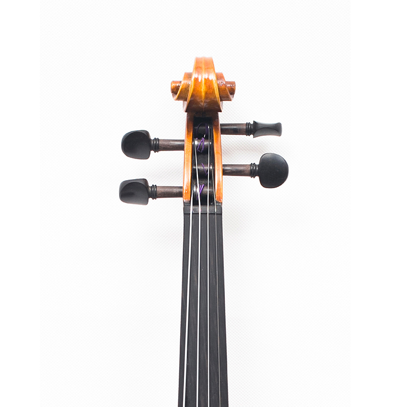 Bel violino antico con fiamma (AVA100)