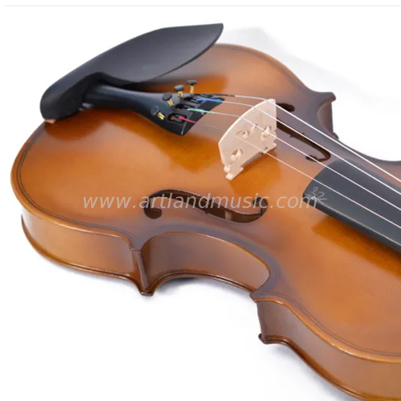 Completo per violino fiammato (GV101N)