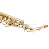Sassofono contralto Mib Corpo in nichel inciso a mano con chiave laccata dorata (AAS5505NL)