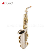 Sassofono contralto con finitura in nichel con chiave dorata (AAS5505NL)