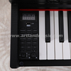 Pianoforte digitale con tastiera contrappeso completa 480 tipi di timbro 88 Ke (ATP8813) 
