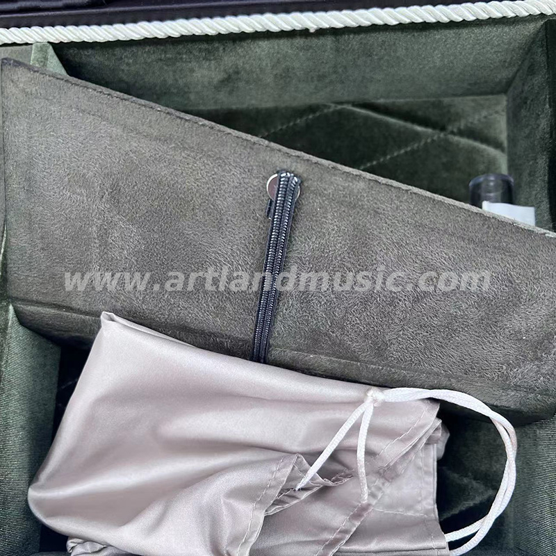Custodia rigida per violino deluxe di alta qualità (DSV103)