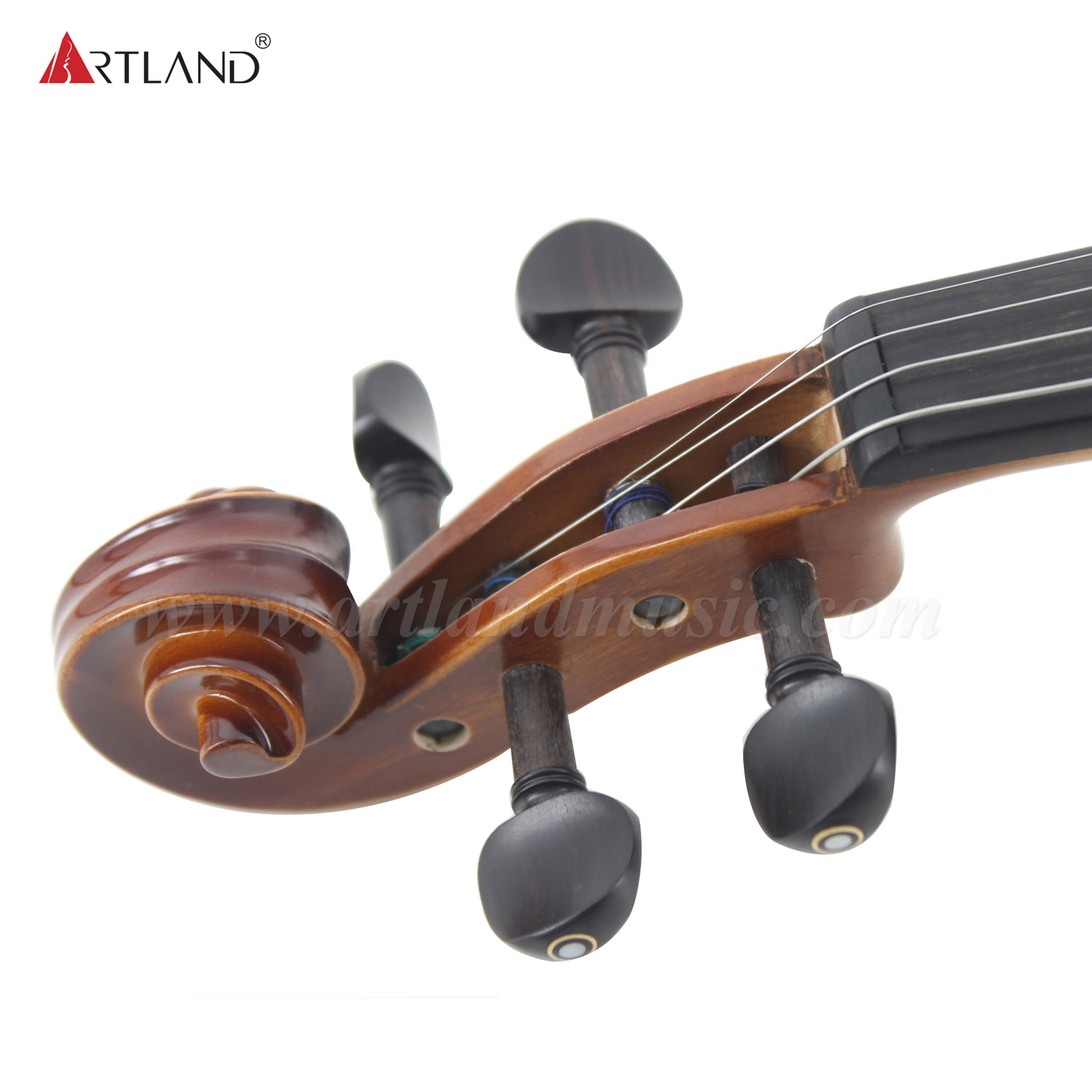Completo per violino da studente in ebano massiccio (GV104A)