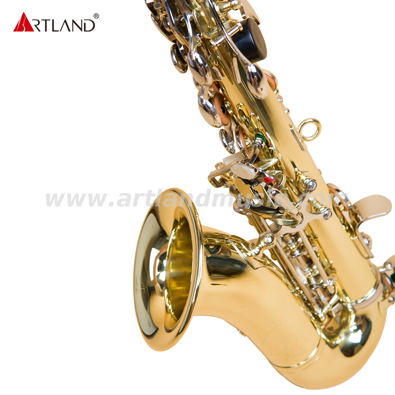 Sassofono soprano curvo laccato oro inciso a mano con chiave in nichel ASS3506D