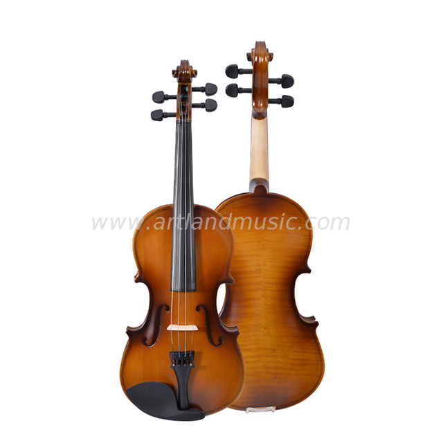 Completo per violino fiammato (GV101N)