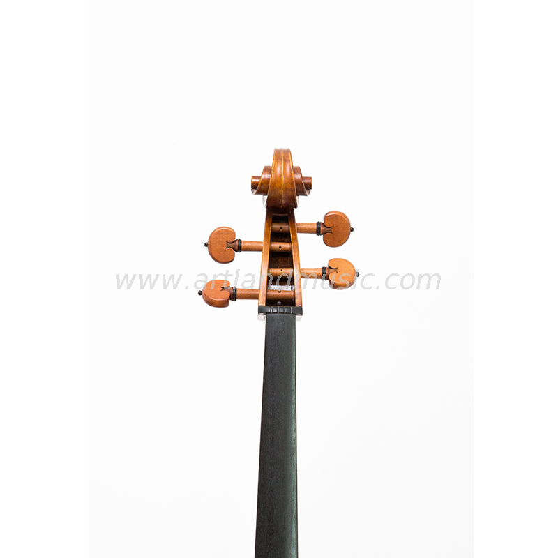 Stradivari 1710 Maestro di violoncello solo Violoncello antico (SC1710)