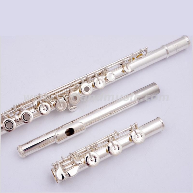 Flauto professionale in cupronichel importato placcato argento a 17 fori aperti (AFL7507)
