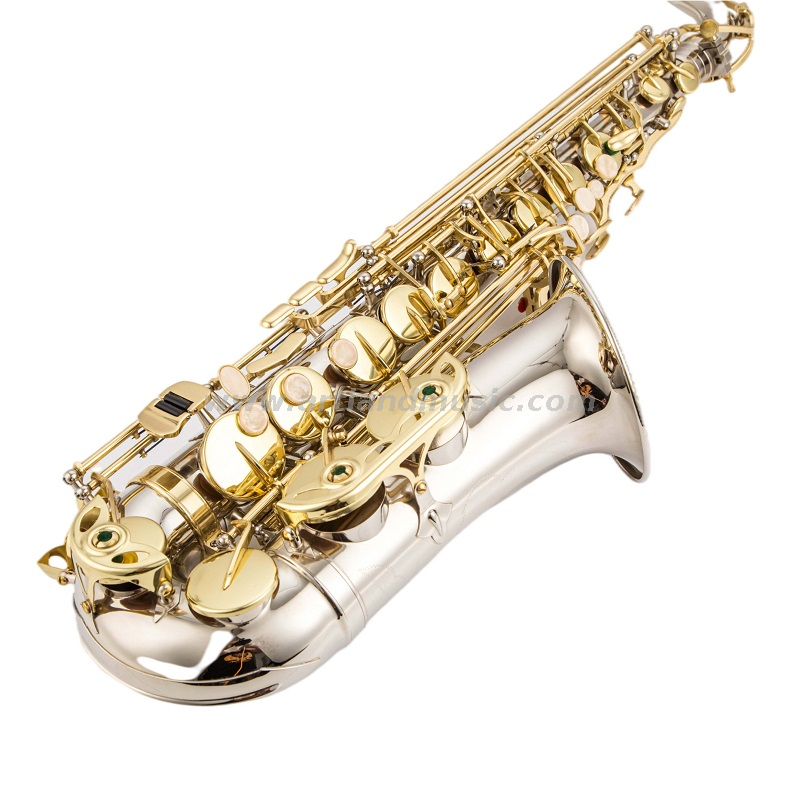 Sassofono contralto Mib Corpo in nichel inciso a mano con chiave laccata dorata (AAS5505NL)