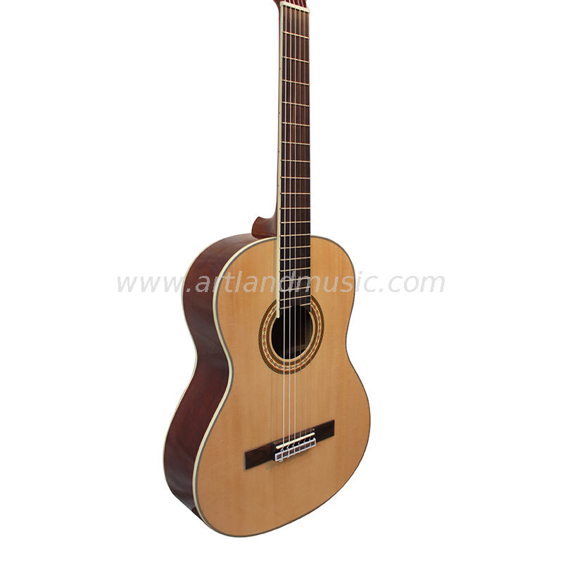 Chitarra classica con retro e lati in palissandro con top in abete massiccio (CG968)