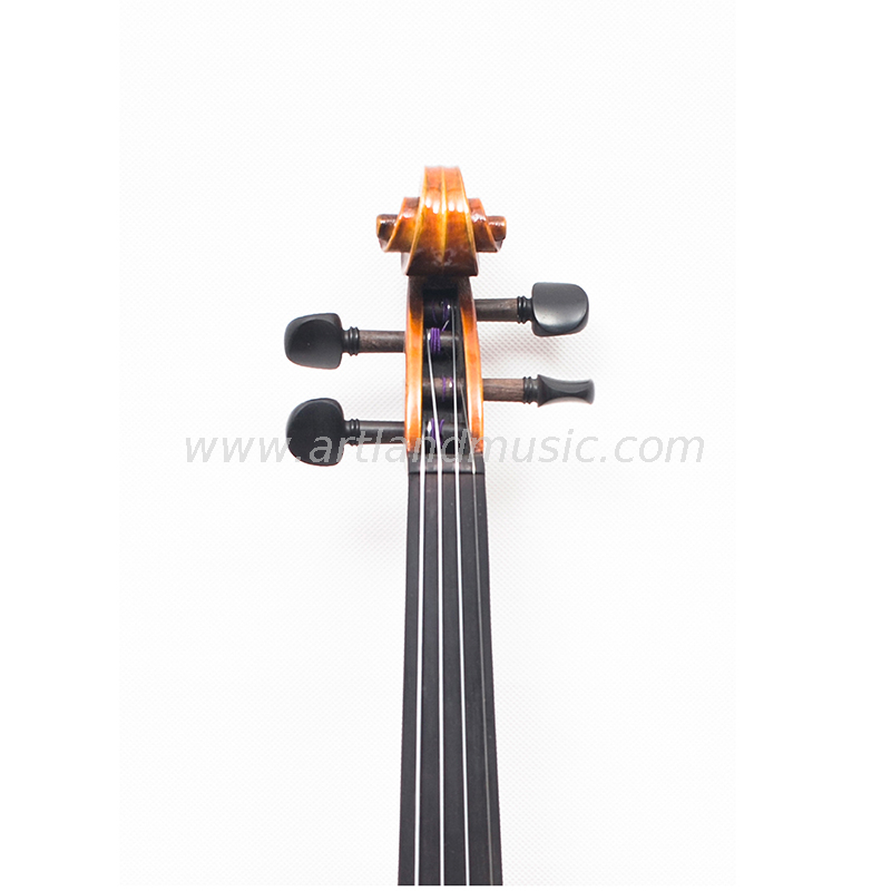 Violino avanzato con bella fiamma (AV200)