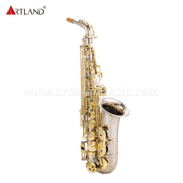 Sassofono contralto con finitura in nichel con chiave dorata (AAS5505NL)