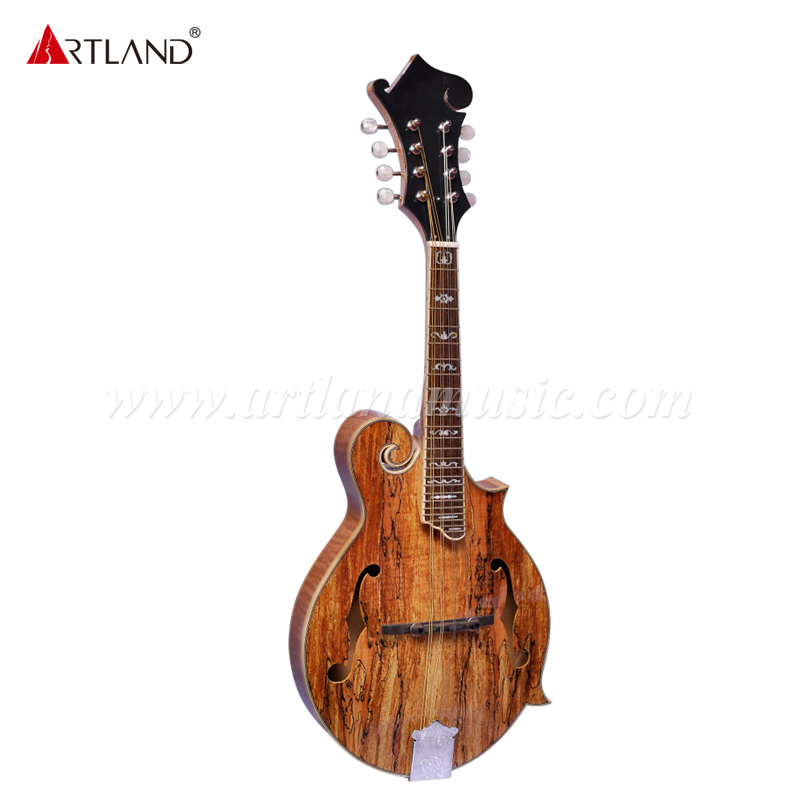 Mandolino con top in acero spalted (AM-NF60)
